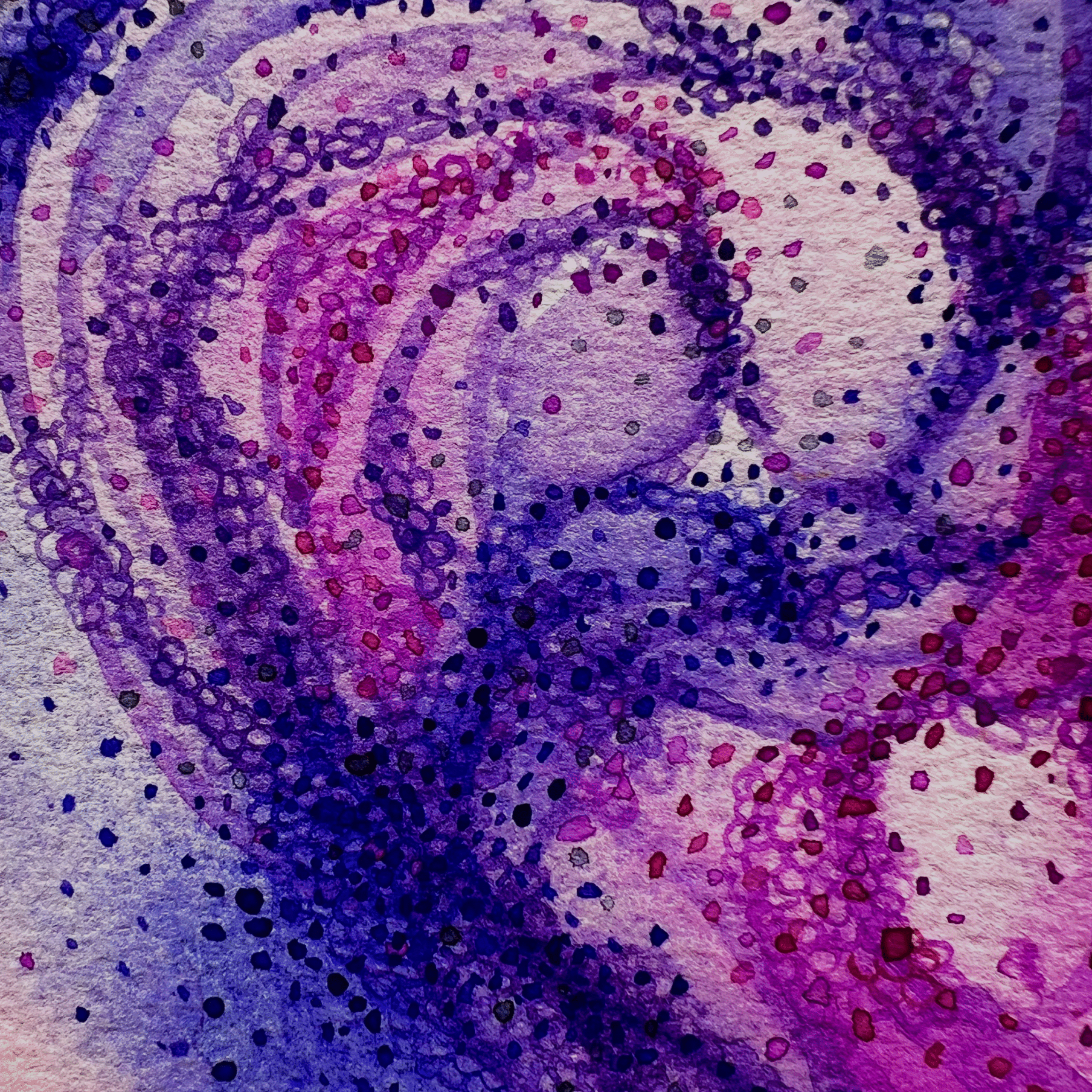 purple-square